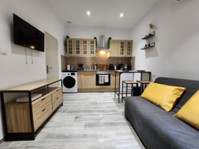 Studio climatisé avec cour privé en Rez-de-chaussée centre historique